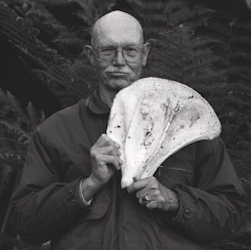 Profile: Bill Devall