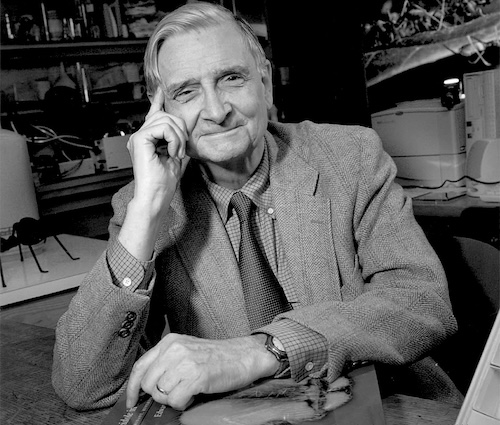 Profile: E.O. Wilson